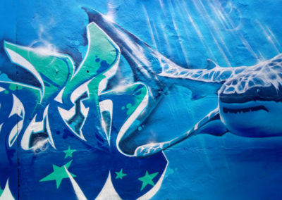 Graffiti requin